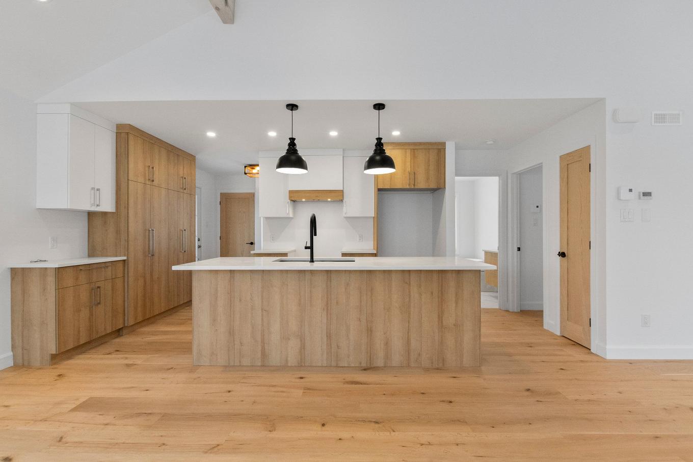 Cuisine - 125 Rue Paulsen, Sainte-Agathe-Des-Monts, QC - Indoor Photo Showing Kitchen