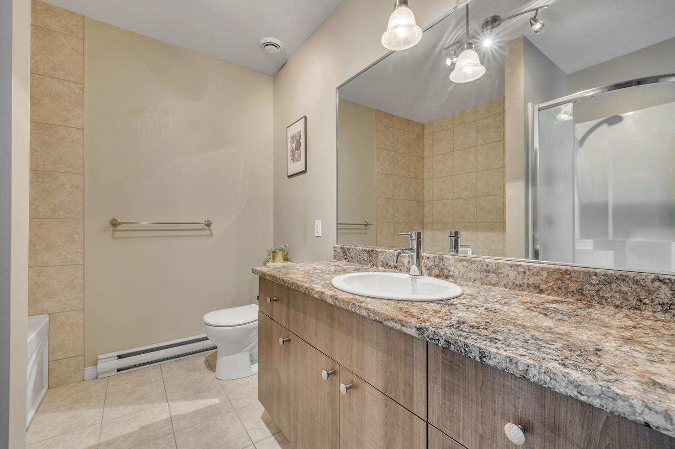 Salle de bains - 303-234 Rue Commerciale, Saint-Henri, QC - Indoor Photo Showing Bathroom