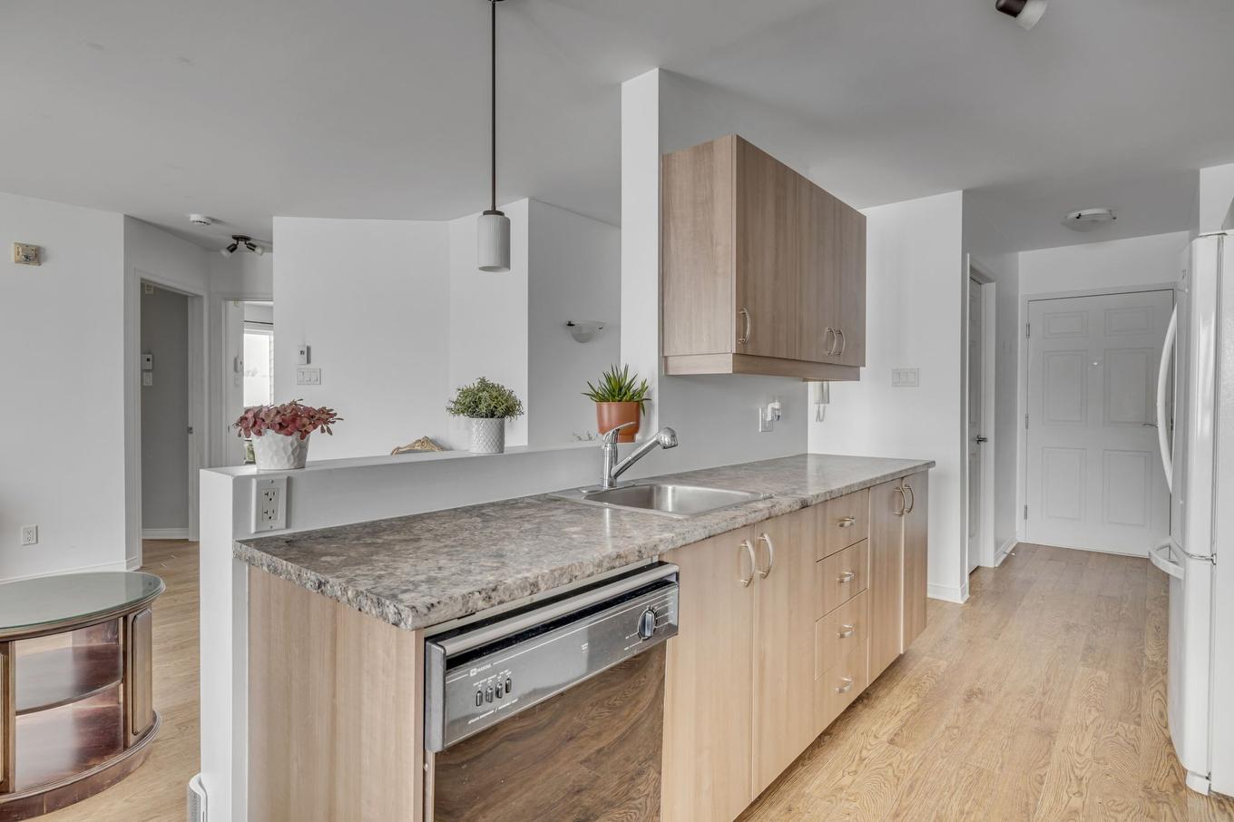Cuisine - 303-234 Rue Commerciale, Saint-Henri, QC - Indoor Photo Showing Kitchen
