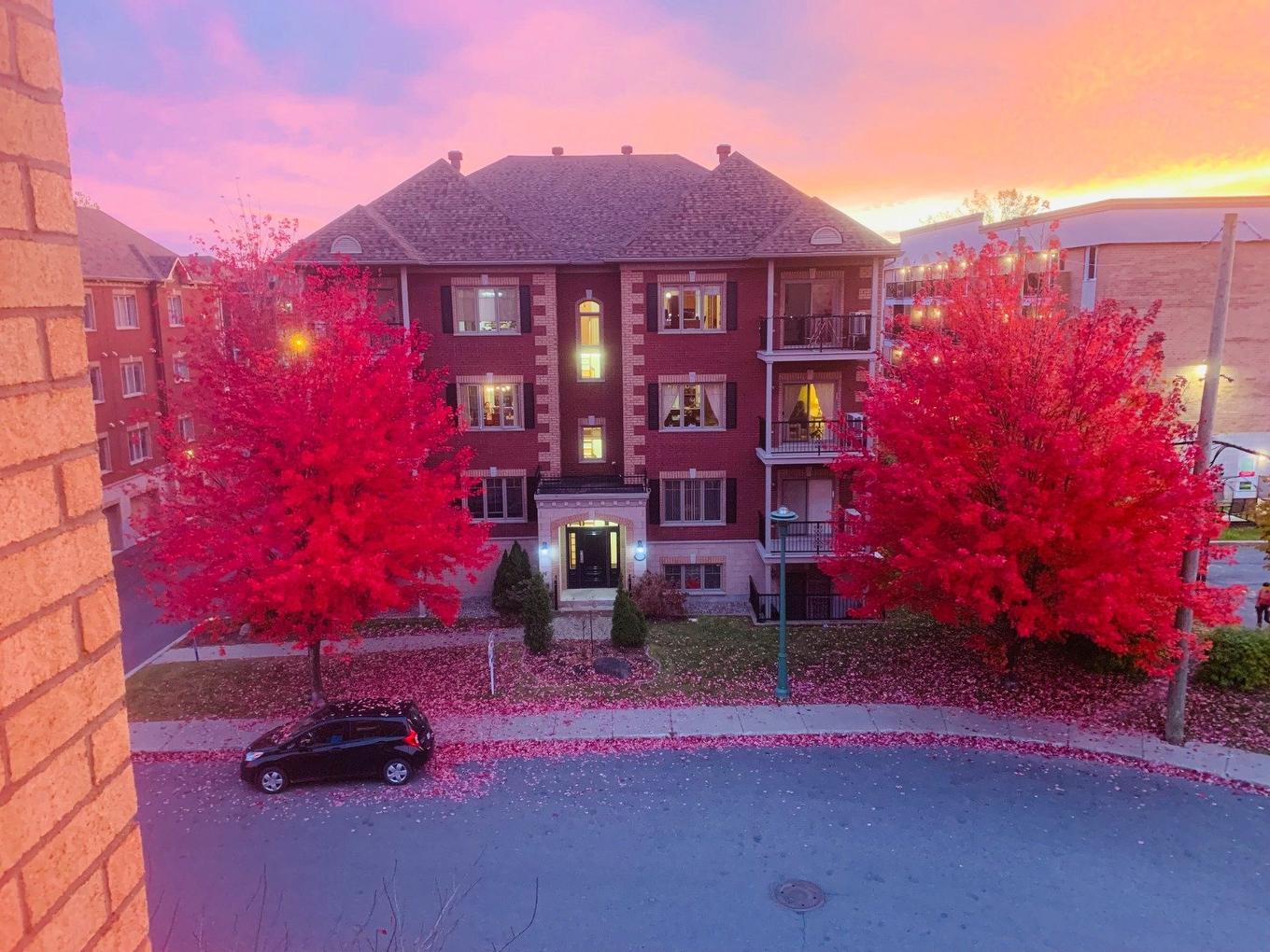 Frontage - 402-2293 Rue Racine, Longueuil (Saint-Hubert), QC - Outdoor