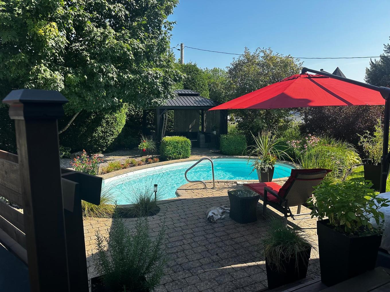 Cour - 13715 Rue Du Noroît, Mirabel, QC - Outdoor With In Ground Pool