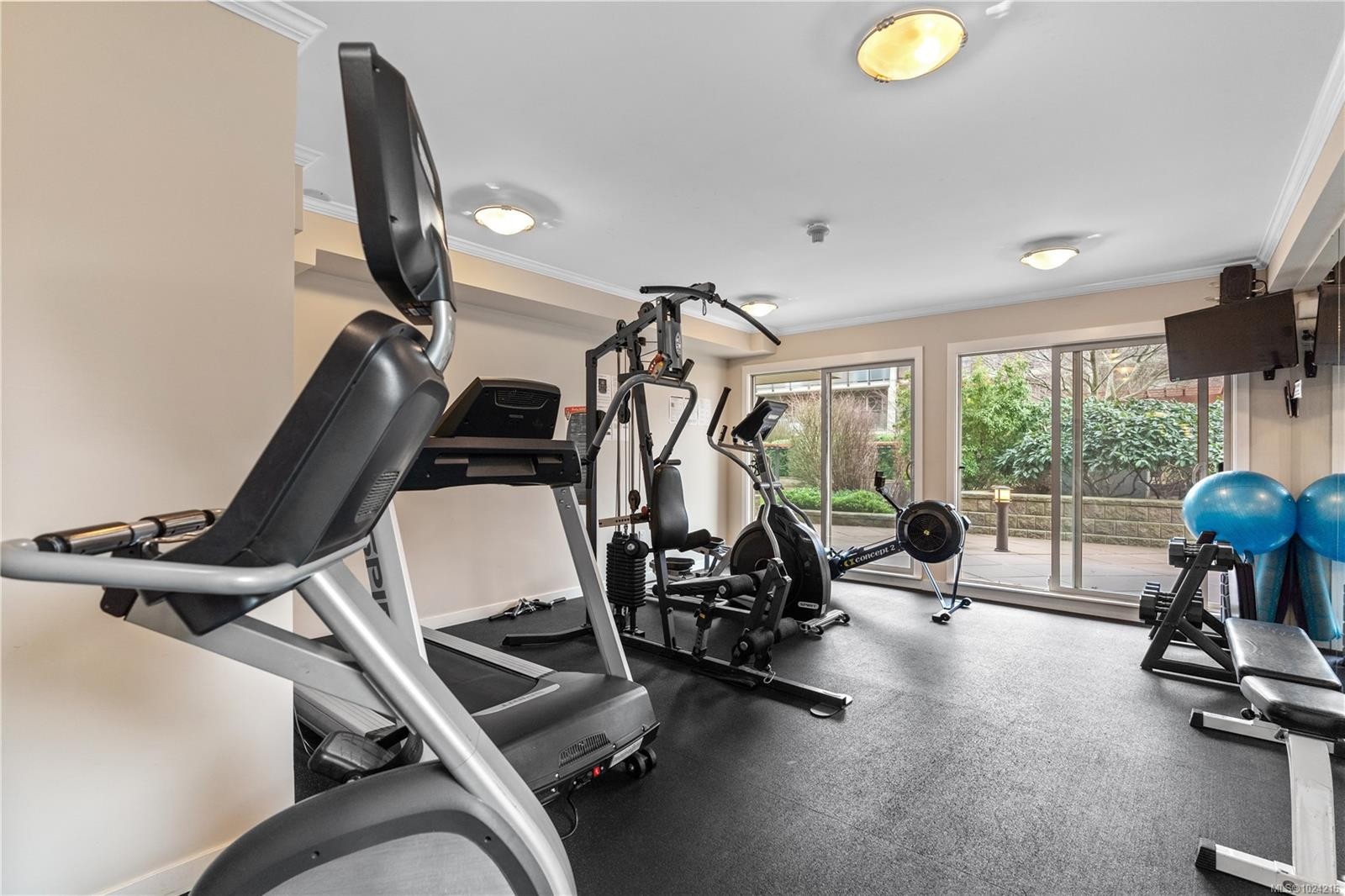 309-1419 Stadacona Ave, Victoria, BC - Indoor Photo Showing Gym Room
