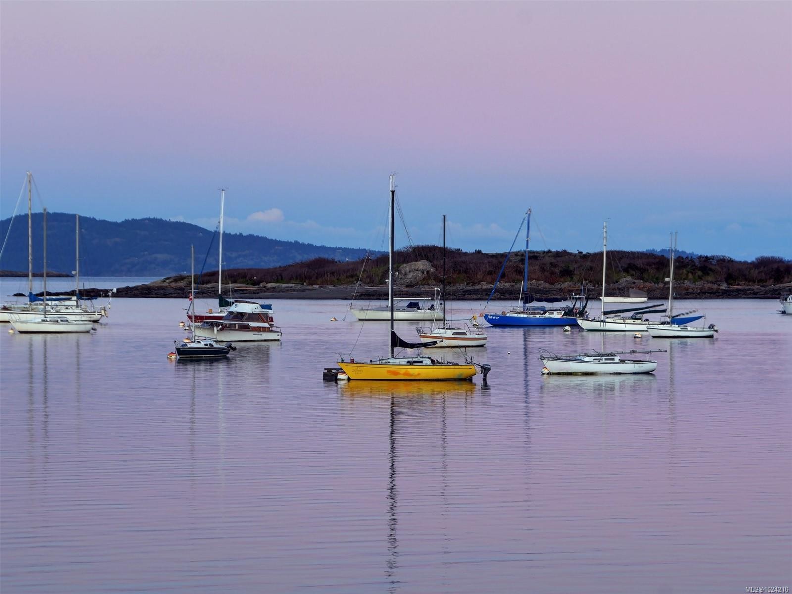 309-1419 Stadacona Ave, Victoria, BC - Outdoor With Body Of Water With View