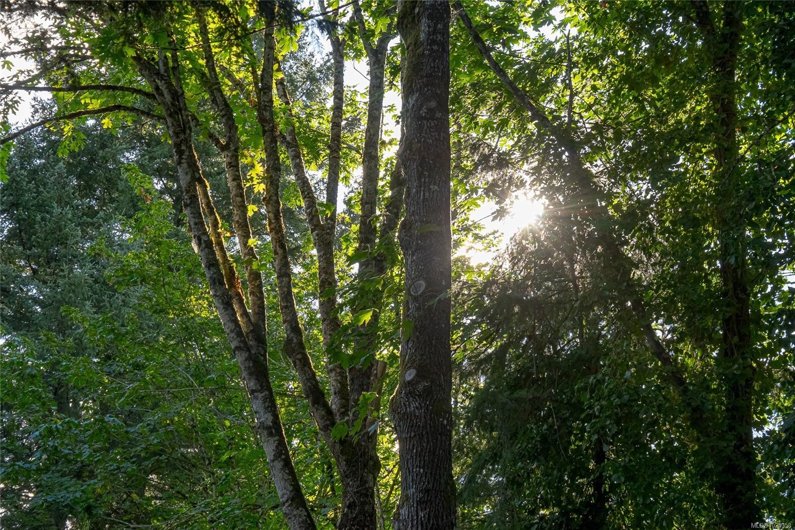 5410 Matson Rd, Ladysmith, BC