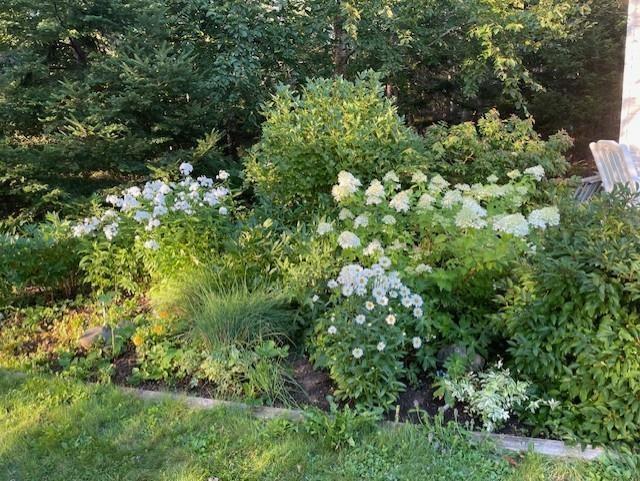 25 Highway 211, Stillwatr, N.S., Stillwater, NS