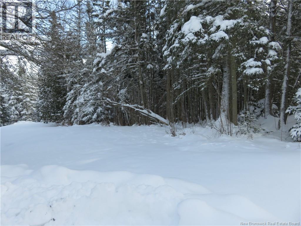 110 Model Farm Road, Quispamsis, NB - Outdoor