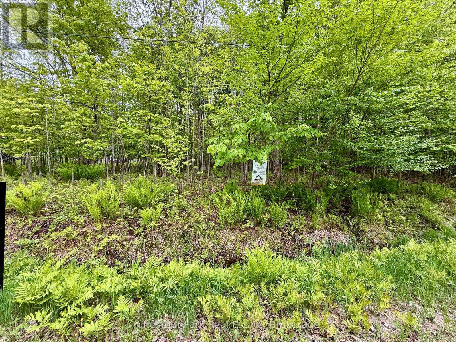 23 Maple Ridge Road, Nipissing, ON - Outdoor