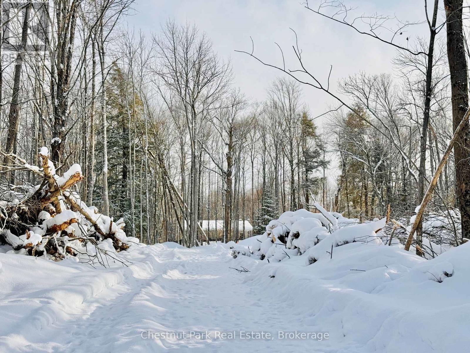 Looking up the driveway to the future house - 23 Maple Ridge Road, Nipissing, ON - Outdoor With View