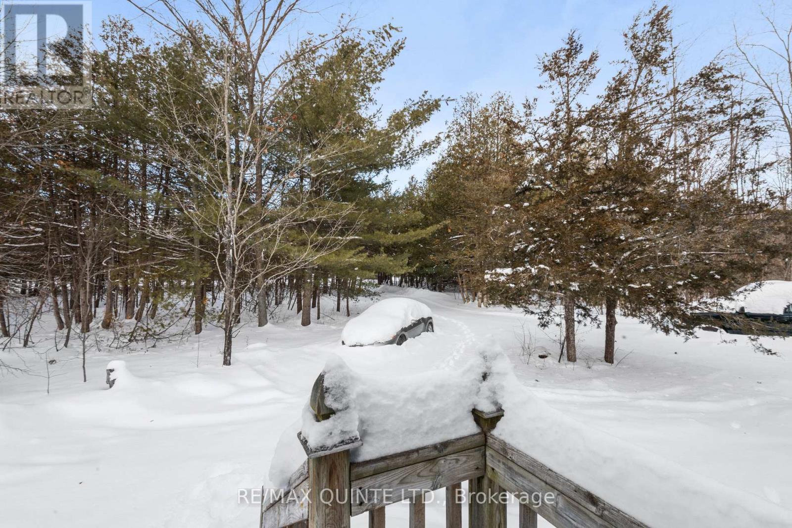 597 Harold Road, Stirling-Rawdon (Rawdon Ward), ON - Outdoor