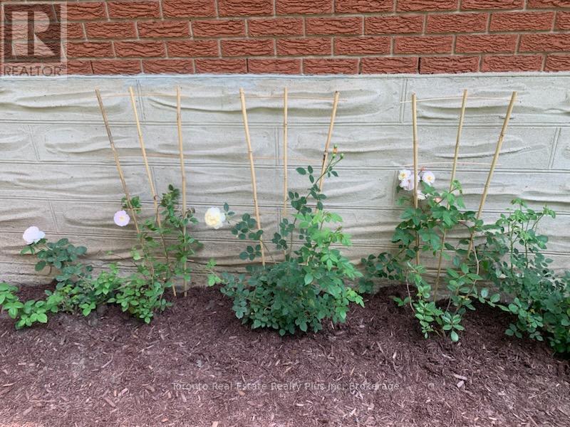 528 Greenbrook Drive, Kitchener, ON - Indoor Photo Showing Other Room