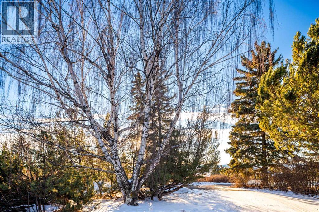 187 Slopeview Drive Sw, Calgary, AB - Outdoor With View