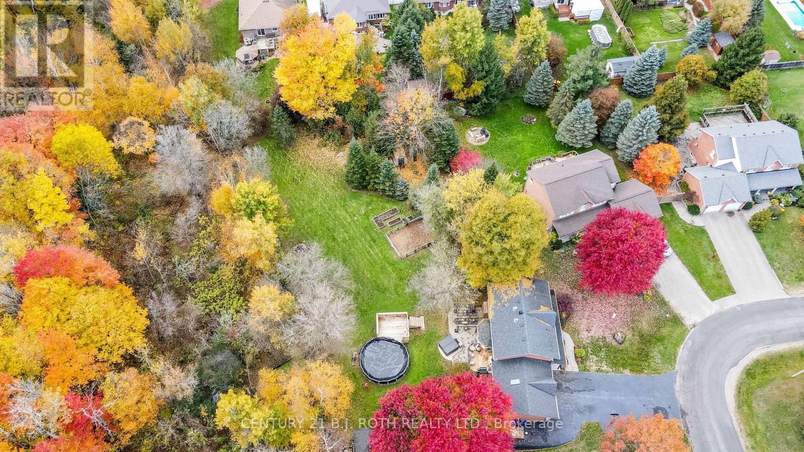 10 Brian Crescent, Adjala-Tosorontio, ON - Outdoor With View