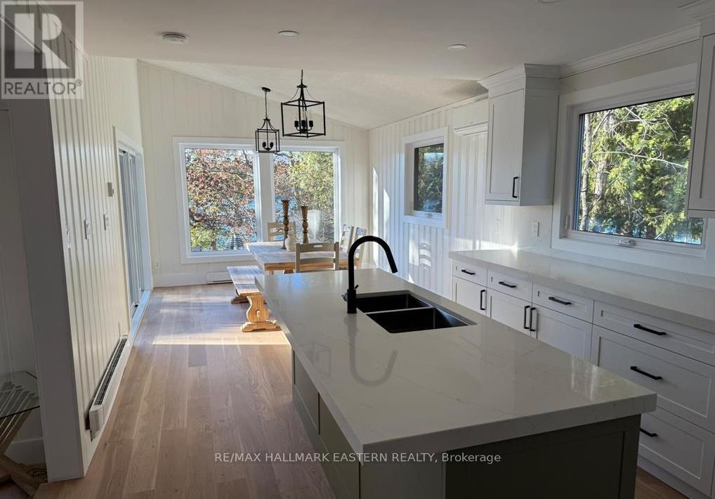 326 Indian Point Road, Kawartha Lakes (Bexley), ON - Indoor Photo Showing Kitchen With Double Sink