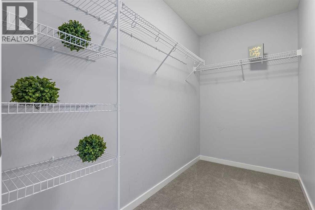 184 Masters Rise Se, Calgary, AB - Indoor With Storage