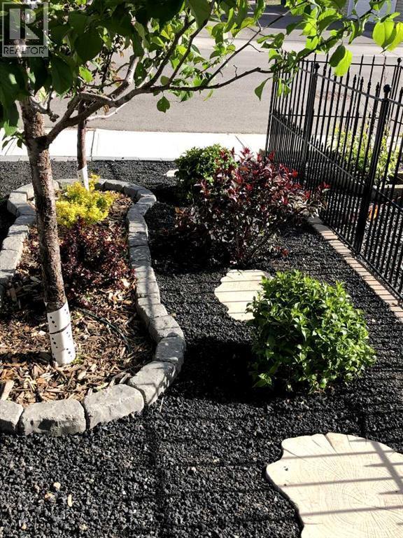 153 Williamstown Park Nw, Airdrie, AB - Outdoor