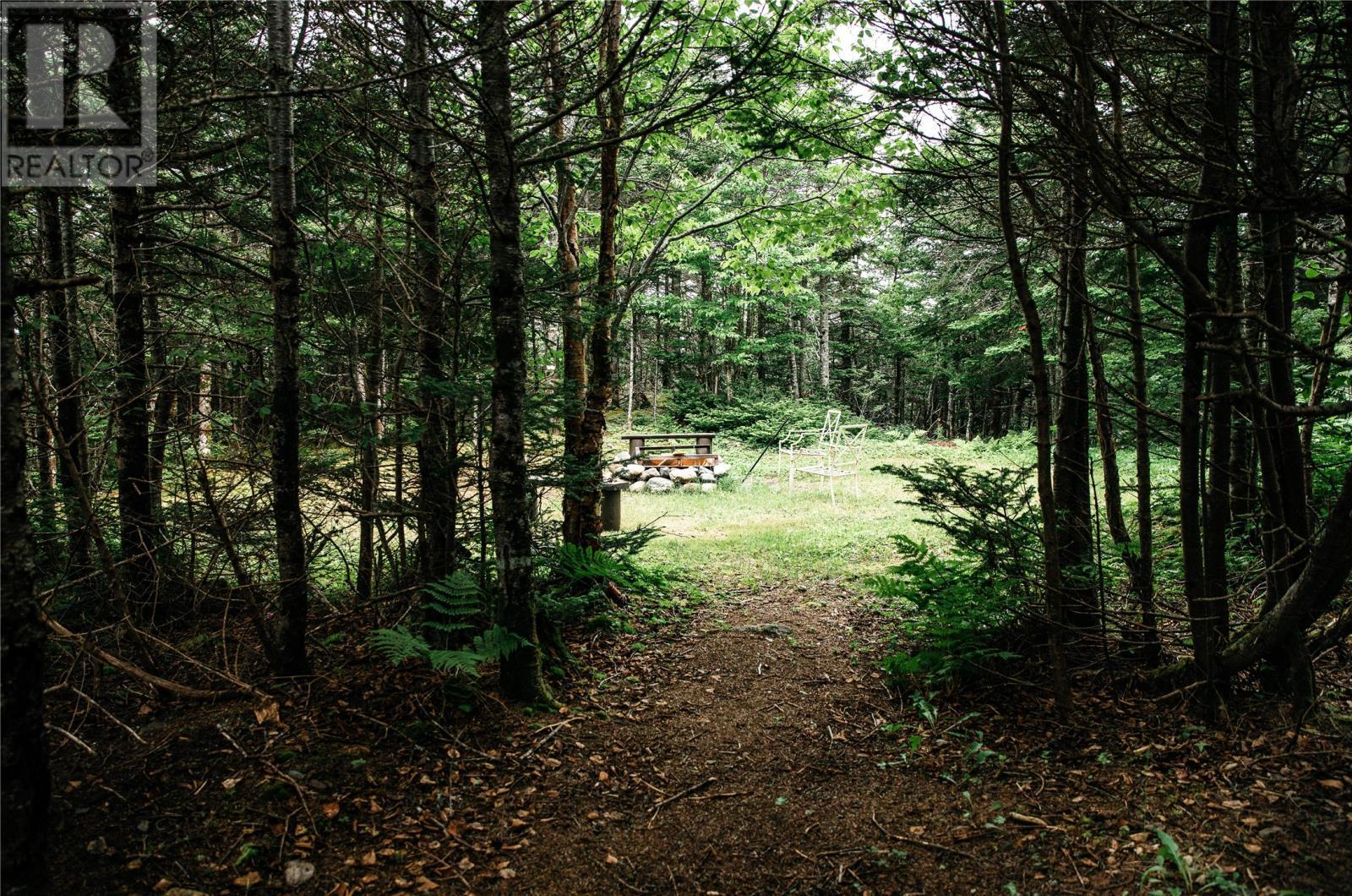 26 Woody Island Drive, Arnold’S Cove, NL - Outdoor