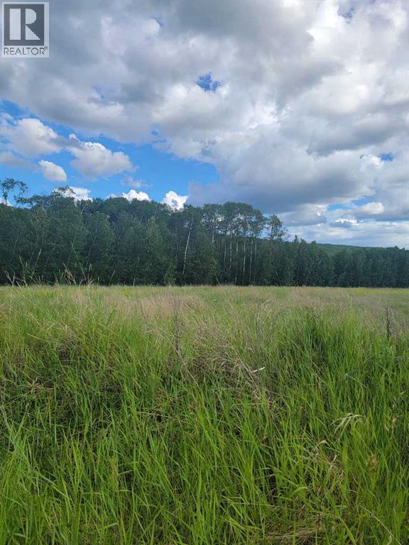 70 Ave 98 Street, Peace River, AB