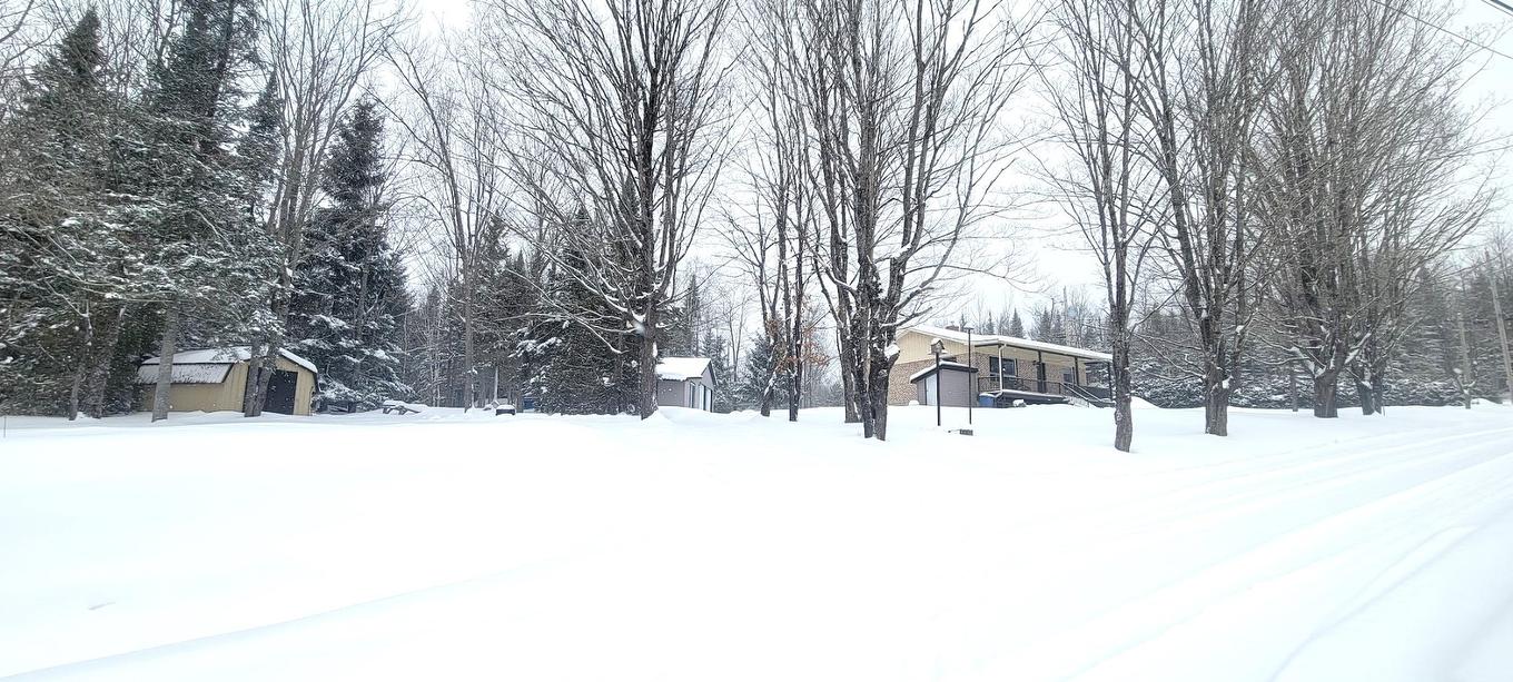 Extérieur - 116 Ch. Des Pins, Lambton, QC - Outdoor