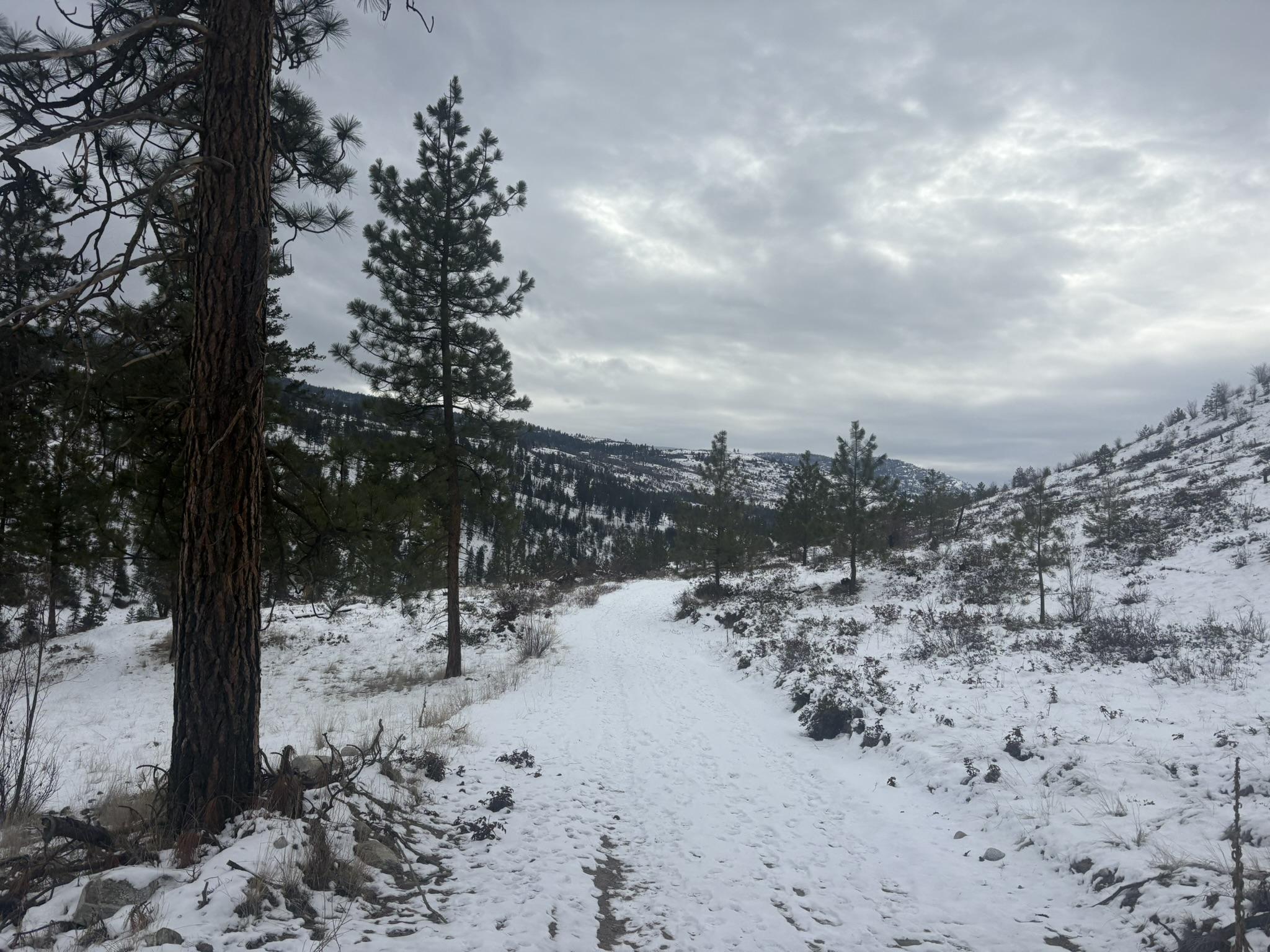 Dl 2514S, Penticton, BC