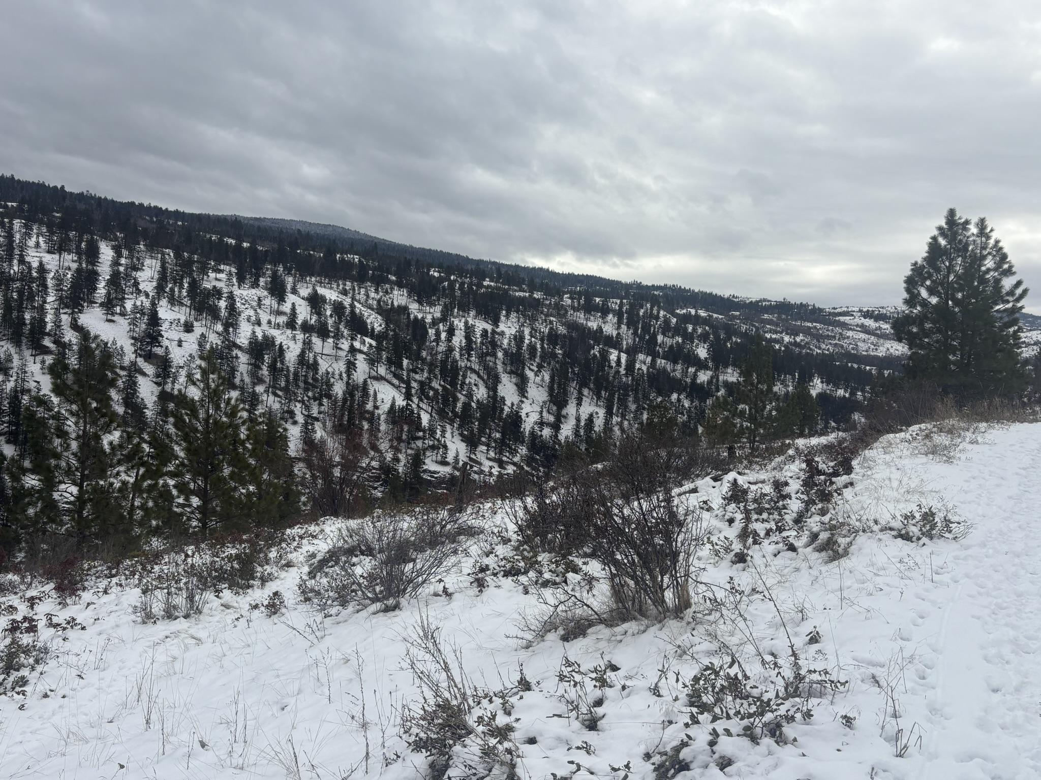 Dl 2514S, Penticton, BC