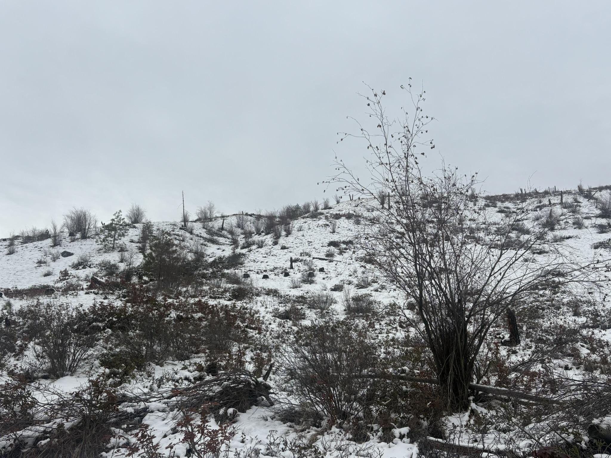 Dl 2514S, Penticton, BC