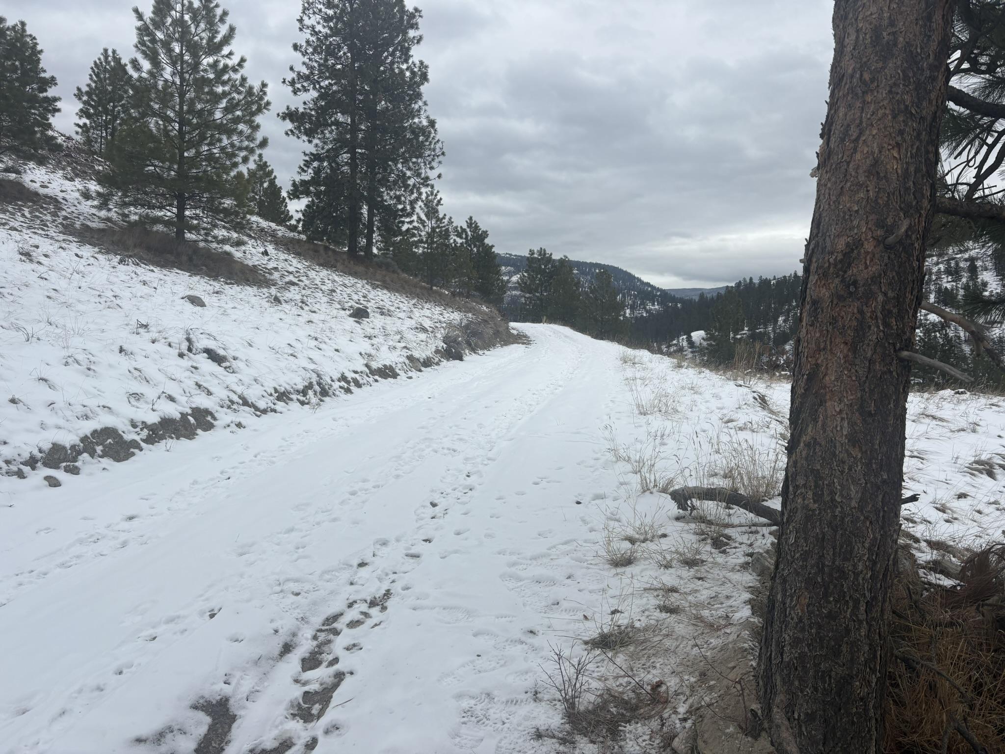 Dl 2514S, Penticton, BC