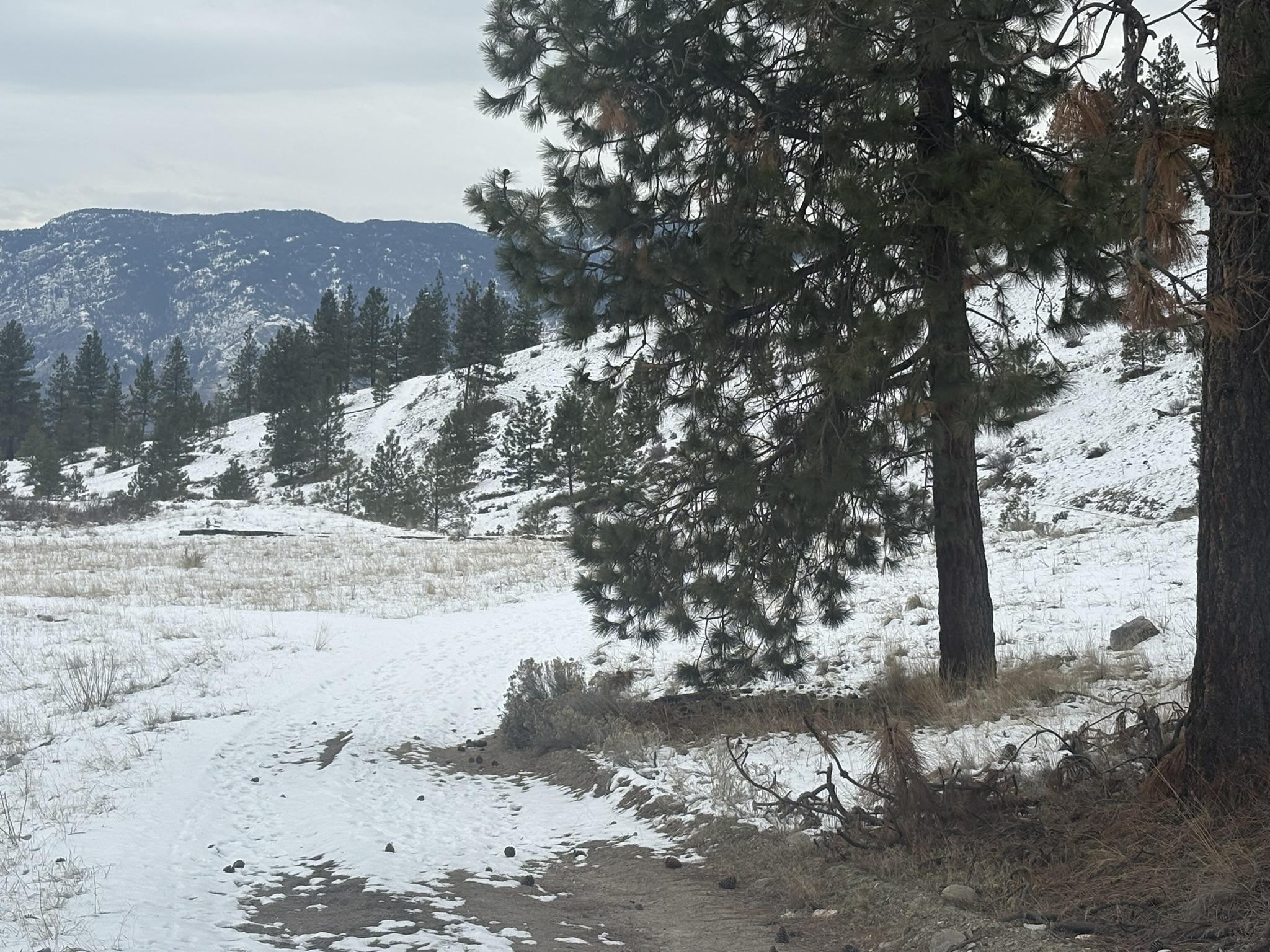 Dl 2514S, Penticton, BC