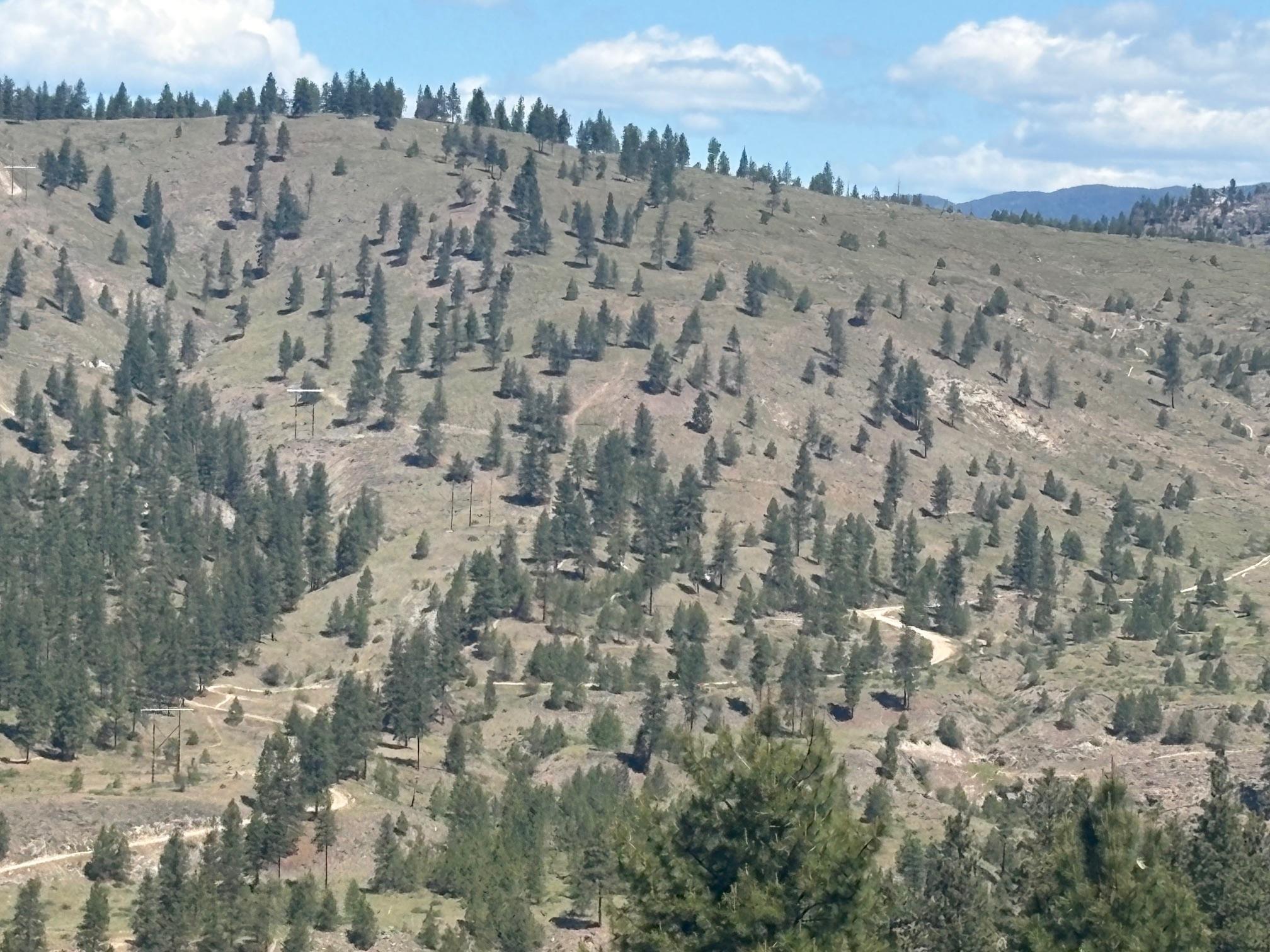 Dl 2514S, Penticton, BC