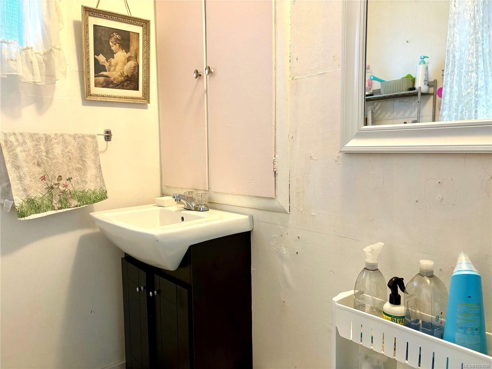 115 Haliburton St, Nanaimo, BC