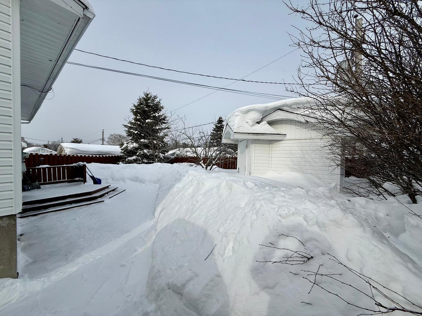 Backyard - 21 Rue Boutin, Amos, QC - Outdoor