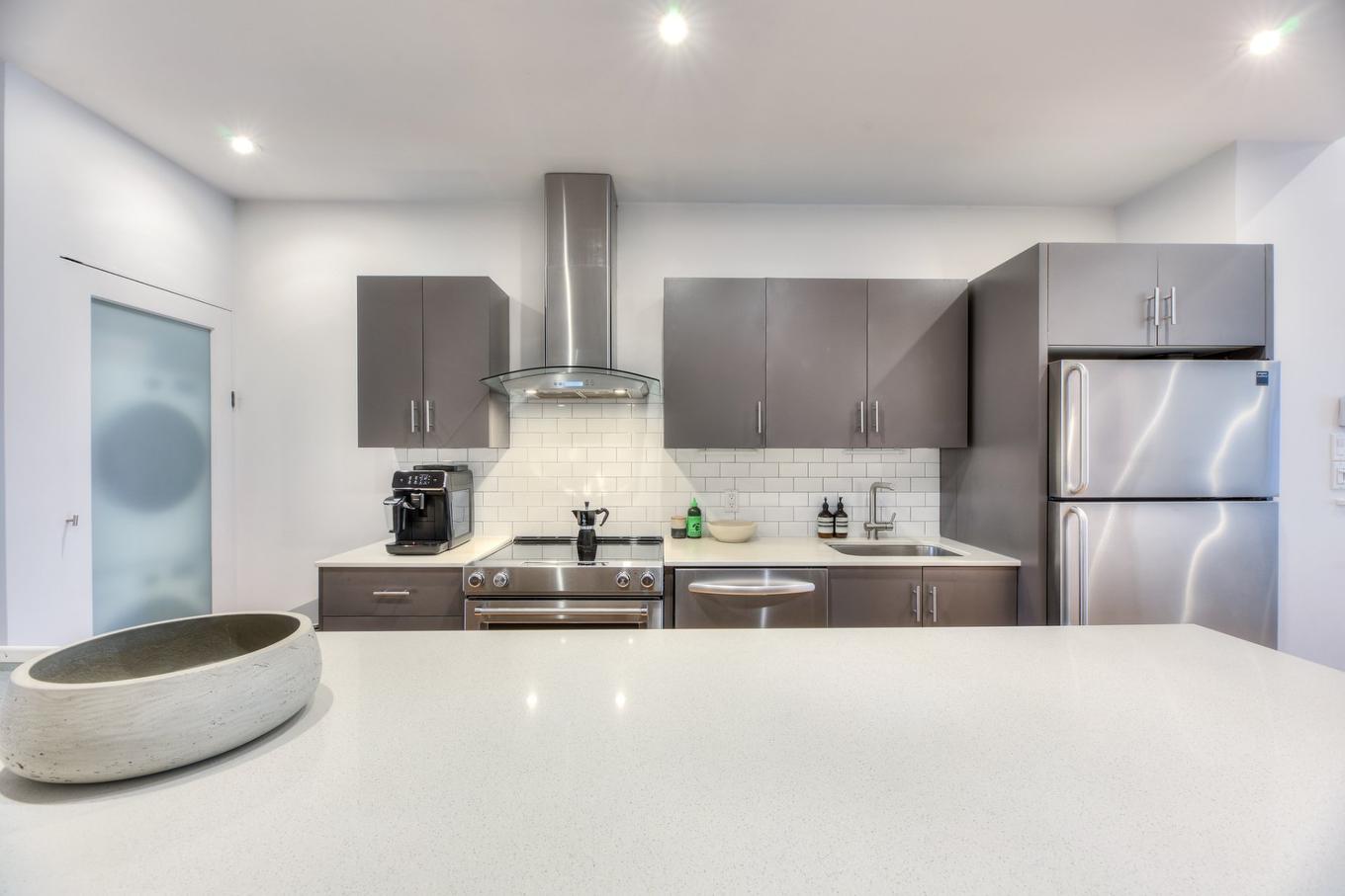 Kitchen - 1438 Rue Joliette, Montréal (Mercier/Hochelaga-Maisonneuve), QC - Indoor Photo Showing Kitchen With Upgraded Kitchen