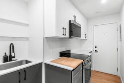 12A-4121 Rue de Mentana Montréal (Le Plateau-Mont-Royal), QC H2L 3S1