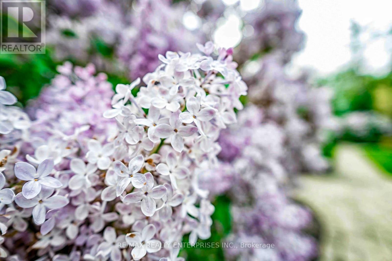 408 - 1400 Dixie Road, Mississauga, ON - Outdoor With View