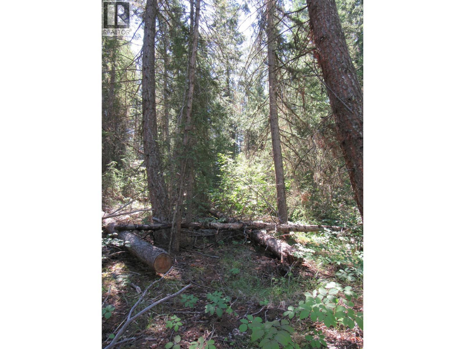 Lot 194 Bergstrom Road, Deka Lake / Sulphurous / Hathaway Lakes, BC