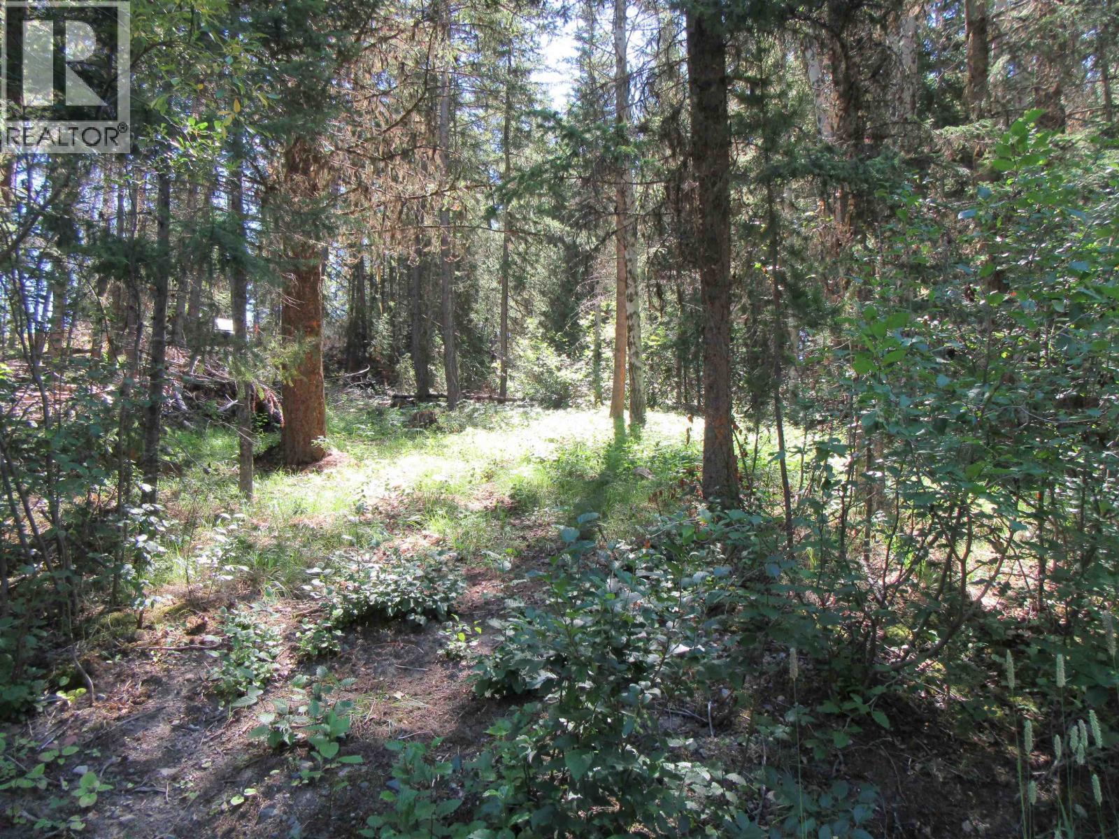 Lot 194 Bergstrom Road, Deka Lake / Sulphurous / Hathaway Lakes, BC