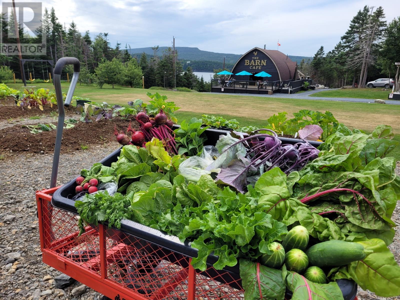 83 Main Road, South Dildo, NL - Outdoor