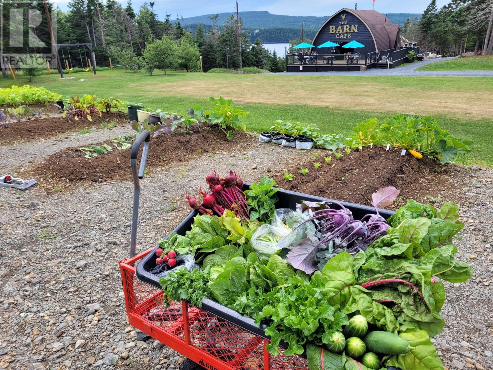 83 Main Road, South Dildo, NL - Outdoor