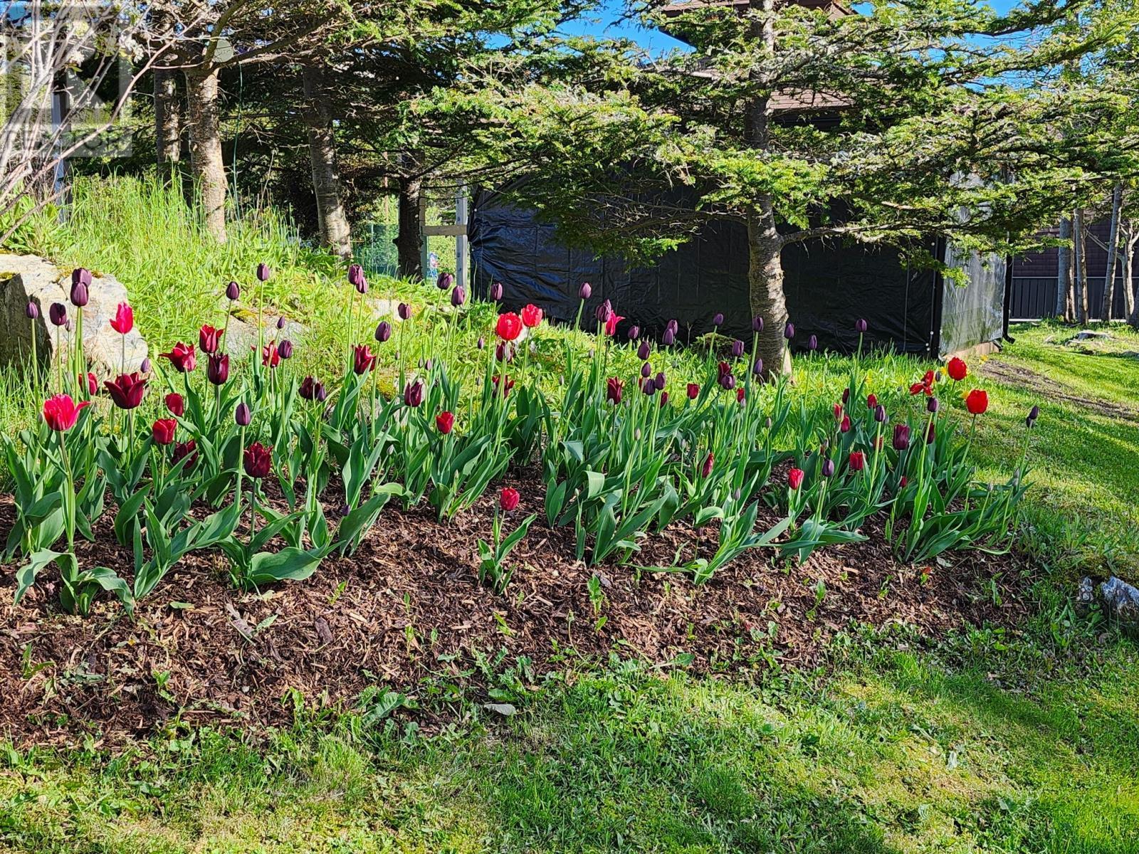 83 Main Road, South Dildo, NL - Outdoor