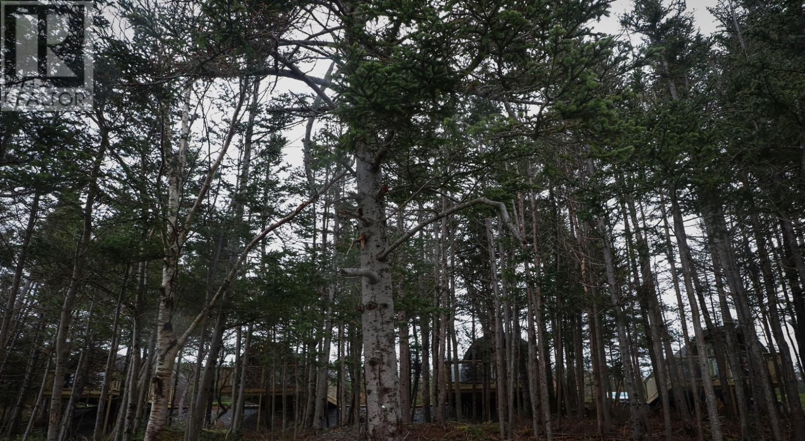 83 Main Road, South Dildo, NL