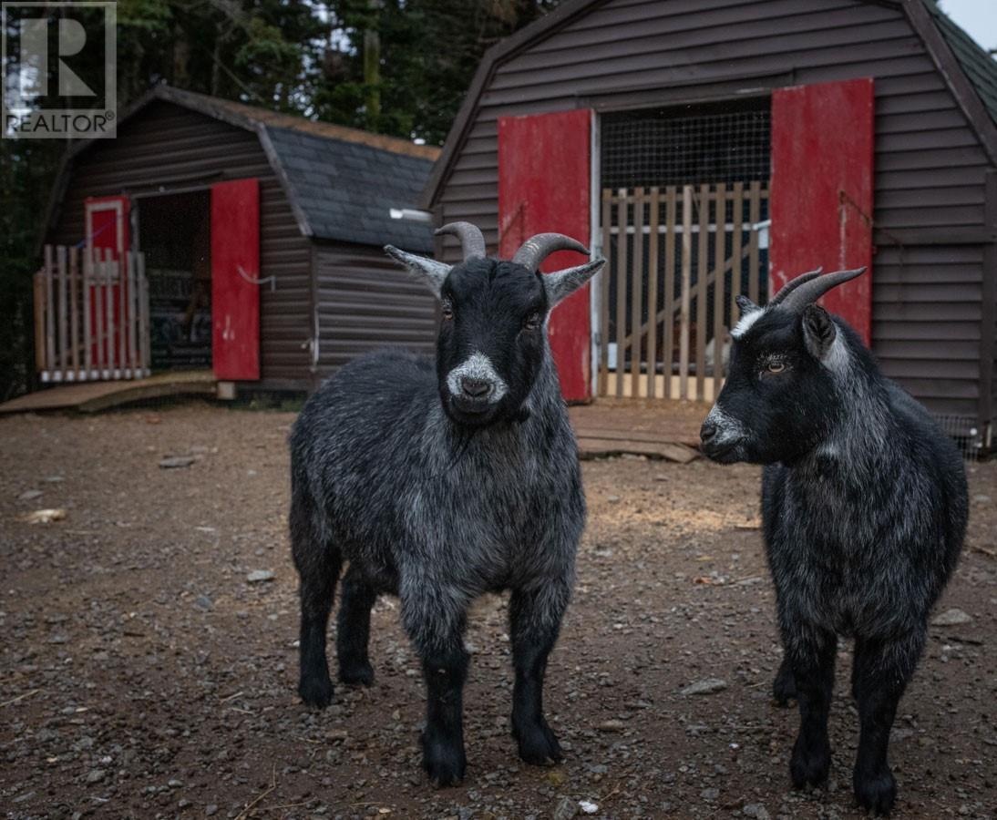 83 Main Road, South Dildo, NL