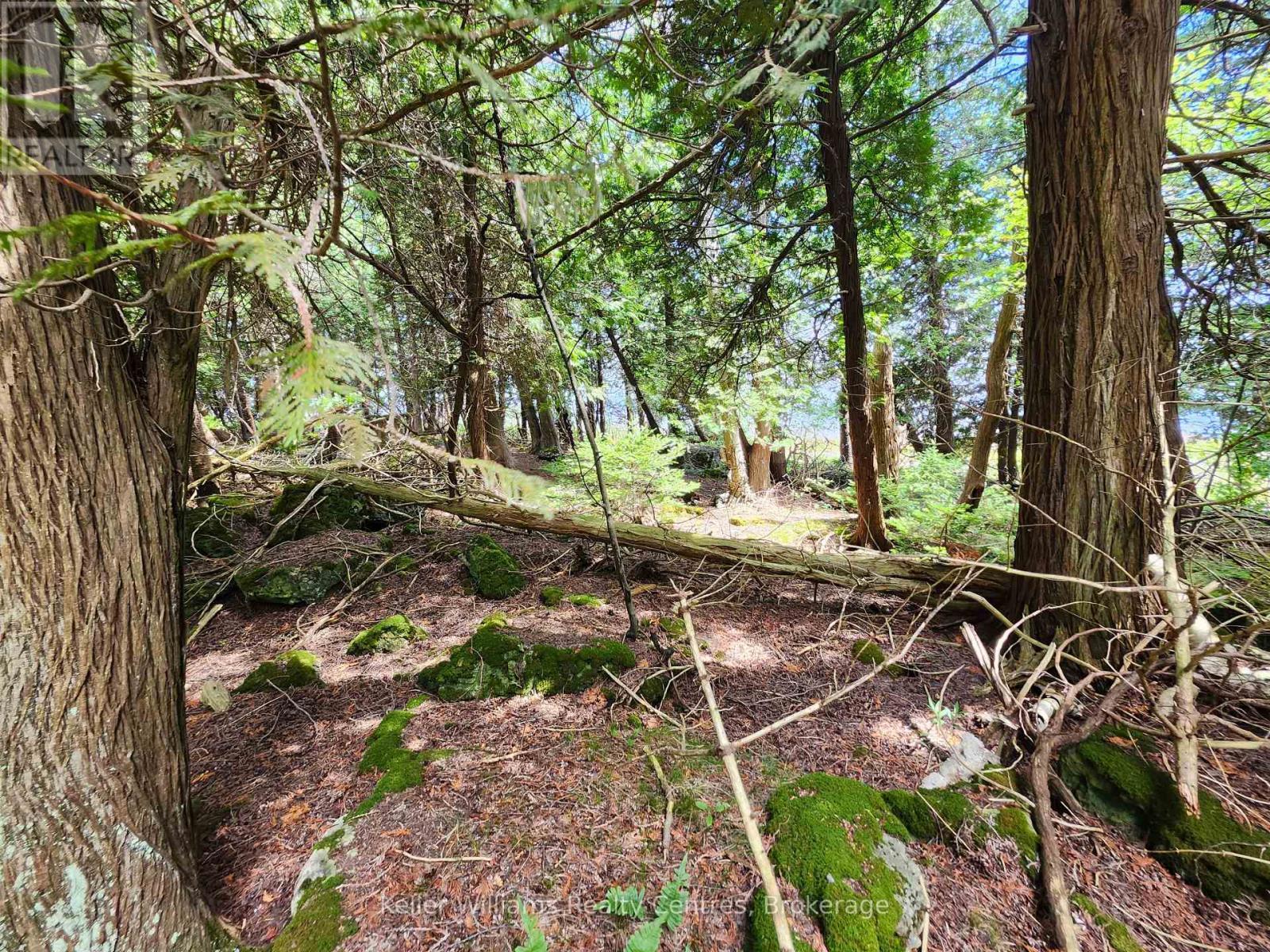 23 Rabbit, South Bruce Peninsula, ON