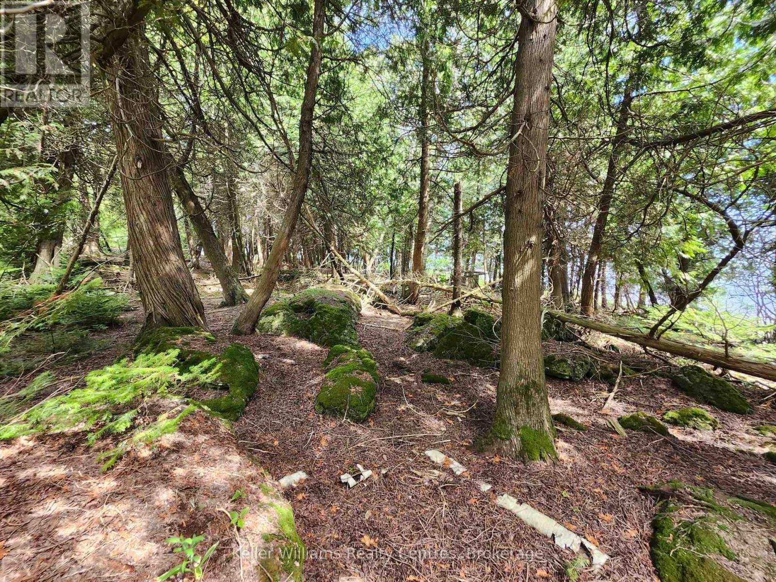 23 Rabbit, South Bruce Peninsula, ON