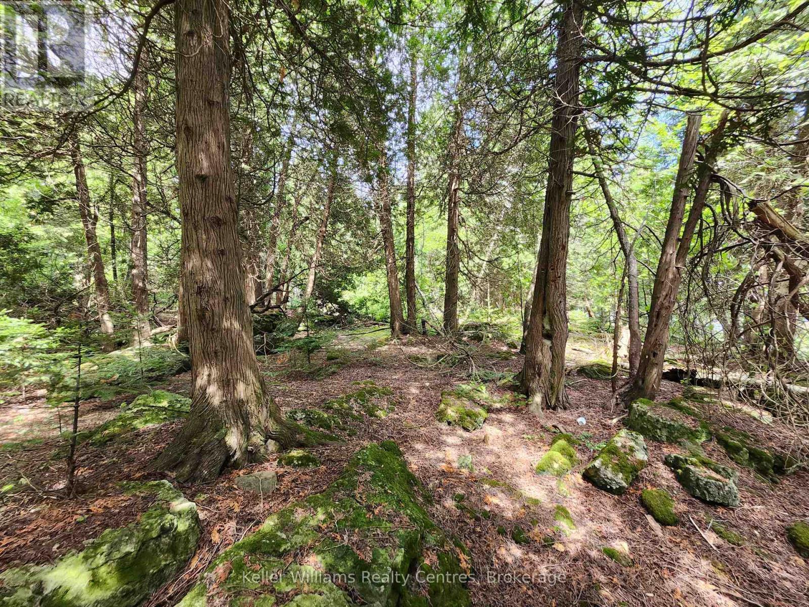 23 Rabbit, South Bruce Peninsula, ON