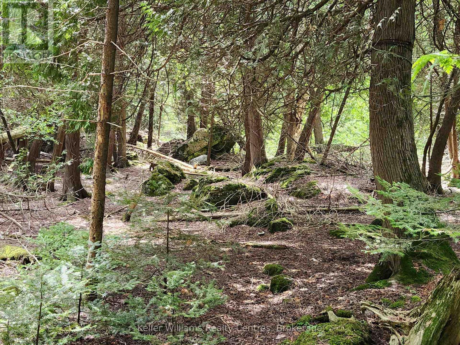 23 Rabbit, South Bruce Peninsula, ON