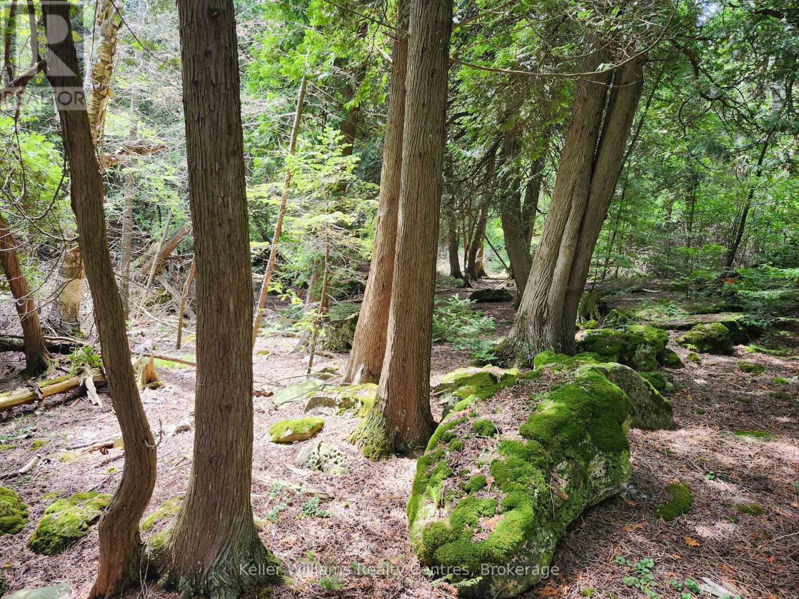 23 Rabbit, South Bruce Peninsula, ON