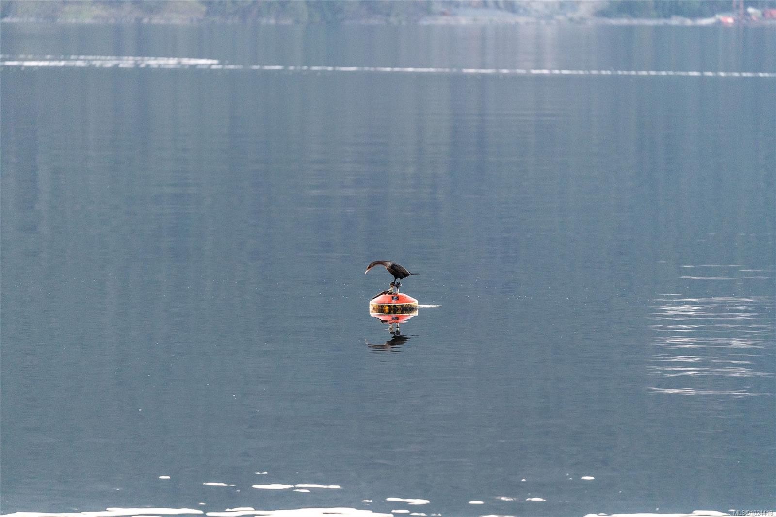 7178 Mark Lane, Central Saanich, BC