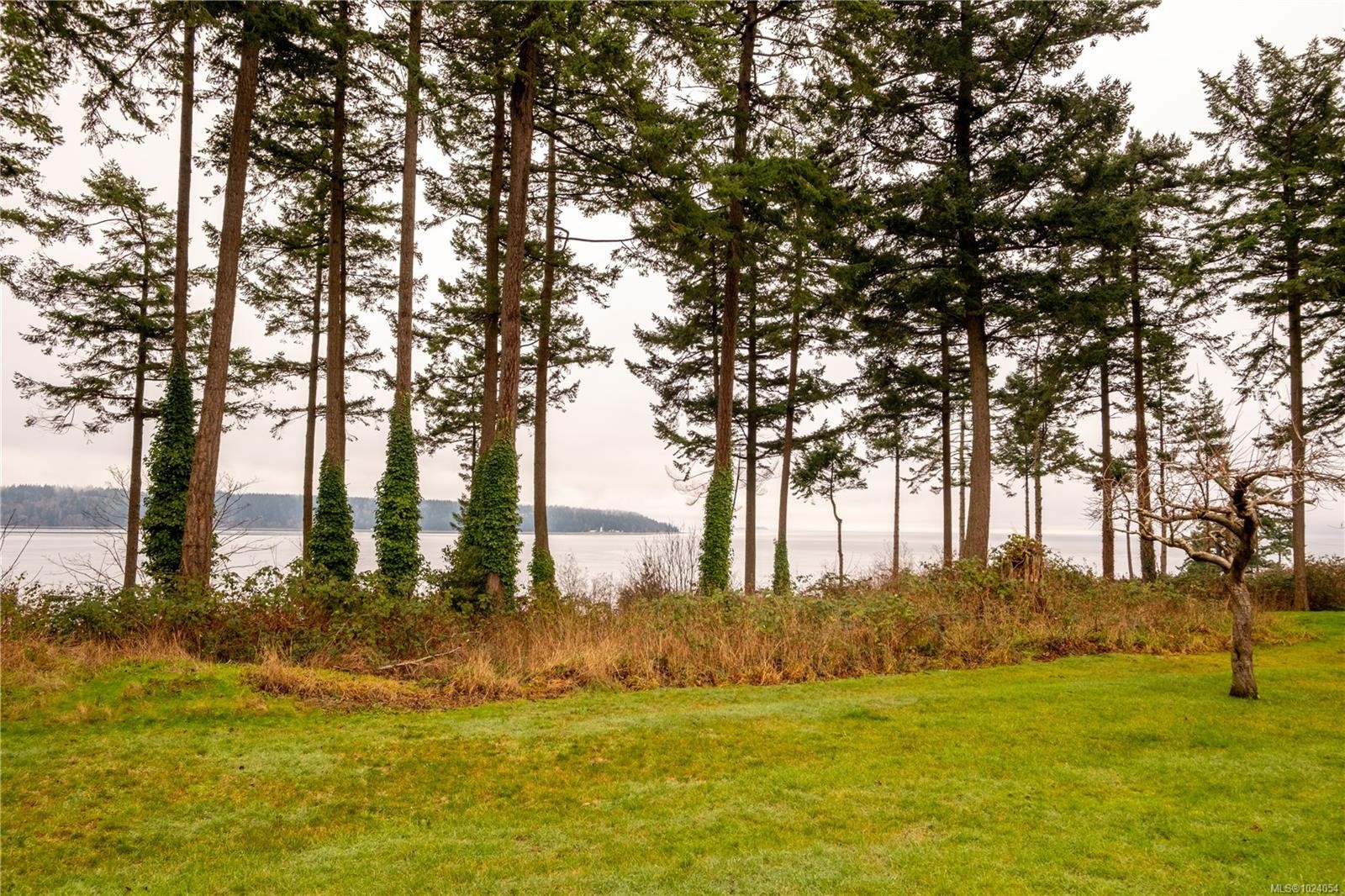 241 Carnegie St, Campbell River, BC