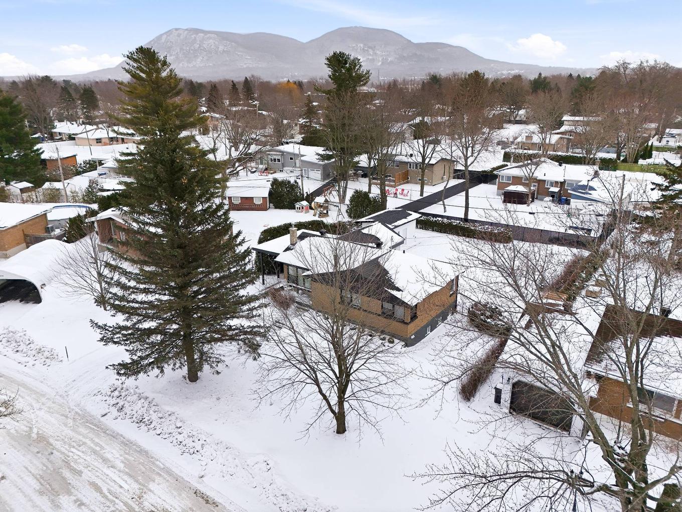 Photo aérienne - 161 Rue Vincent-Massey, Beloeil, QC - Outdoor With View