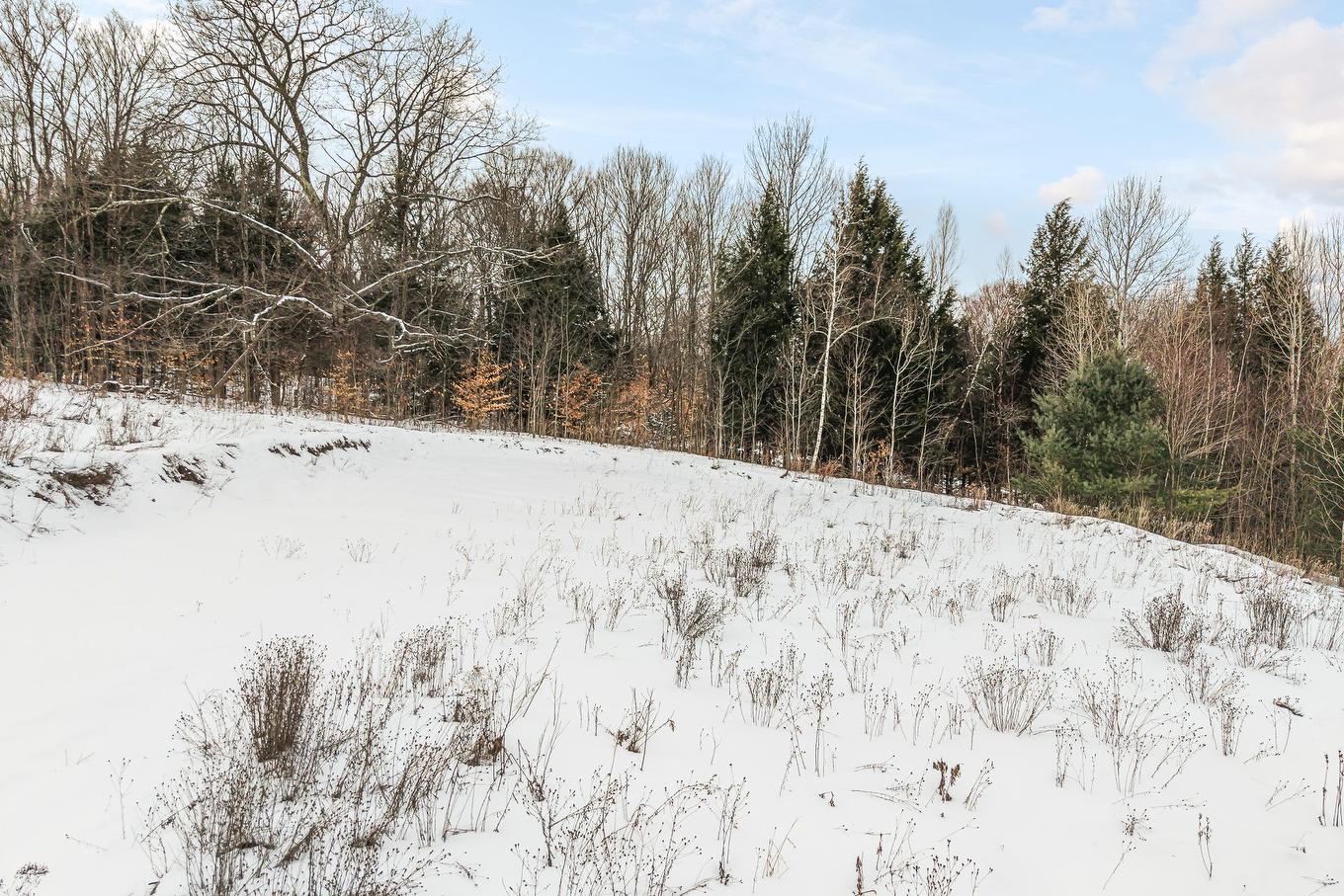 Terre/Terrain - Rue De La Liberté, Frelighsburg, QC