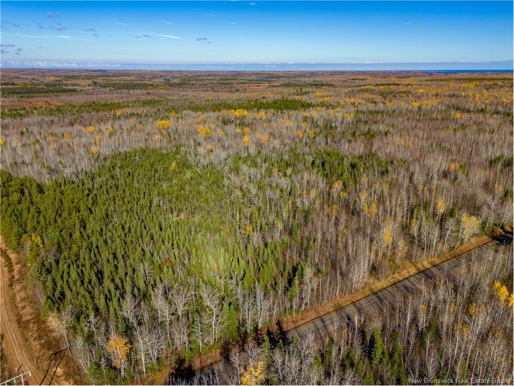 Lot 25-2 Bateman Mill Rd, Shediac River, NB